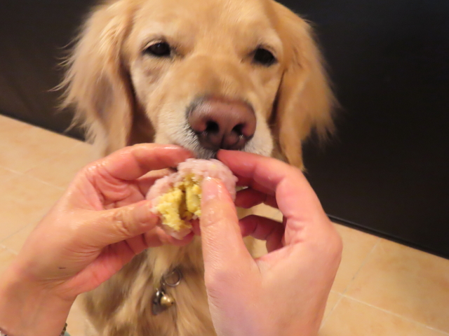 ファイル 8500-2.jpg