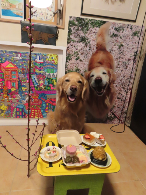 ファイル 8500-3.jpg