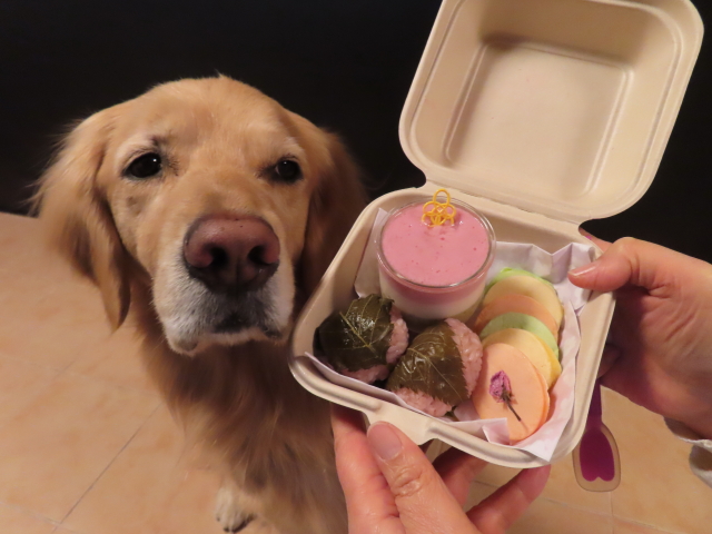 ファイル 8500-4.jpg