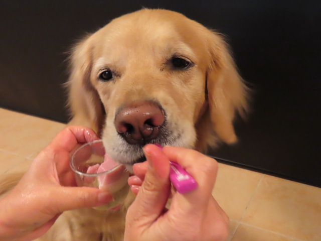 ファイル 8500-5.jpg