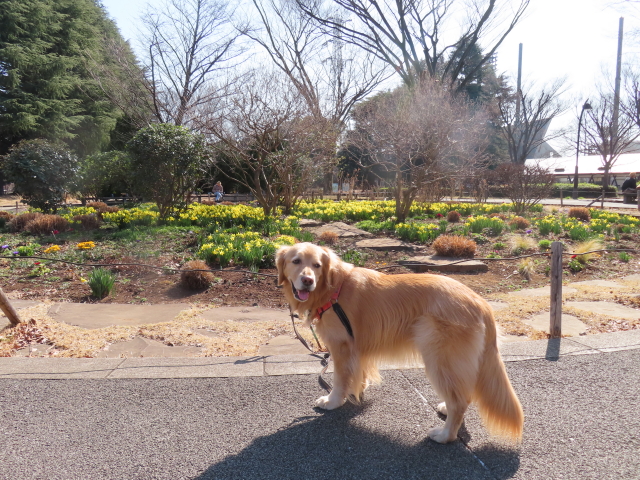 ファイル 8502-3.jpg