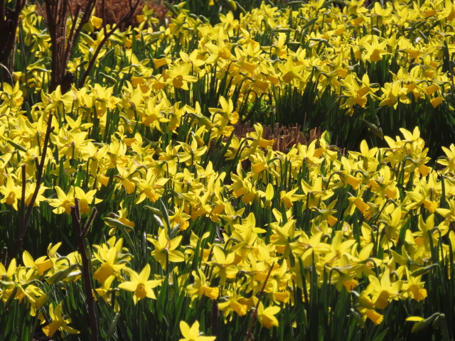 ファイル 8502-4.jpg