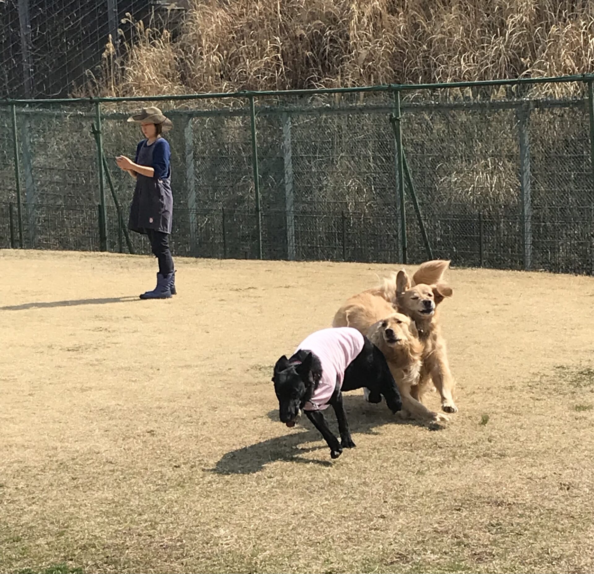 ファイル 8503-3.jpeg