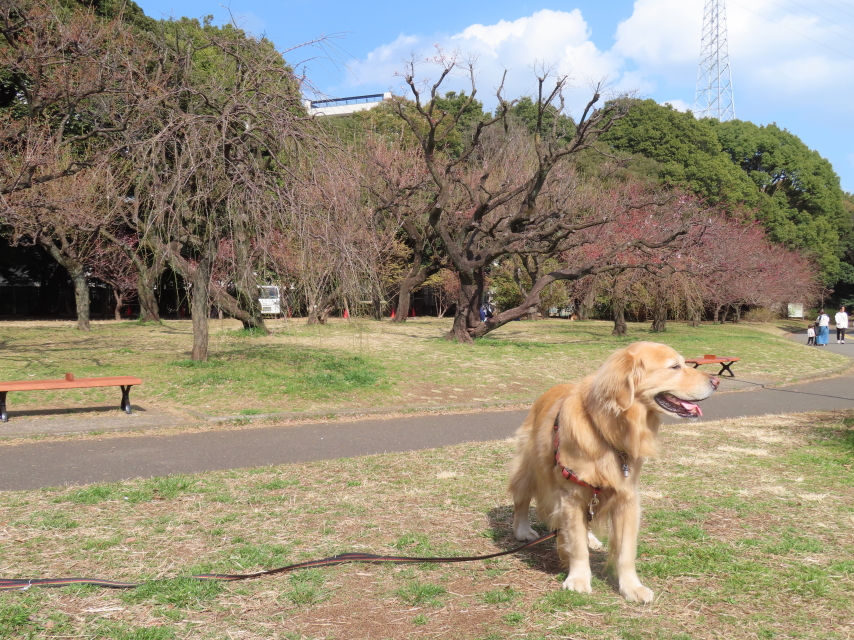 ファイル 8505-3.jpg