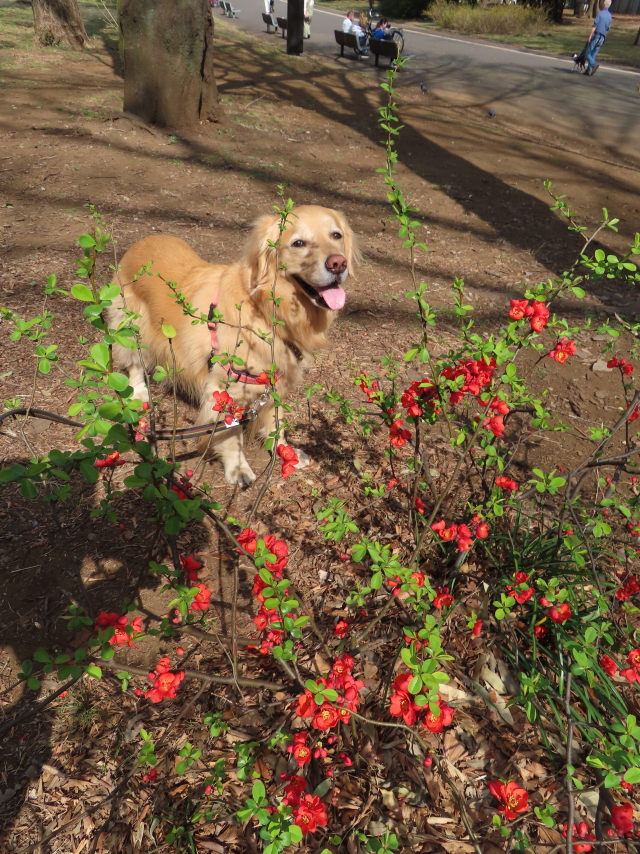 ファイル 8505-4.jpg