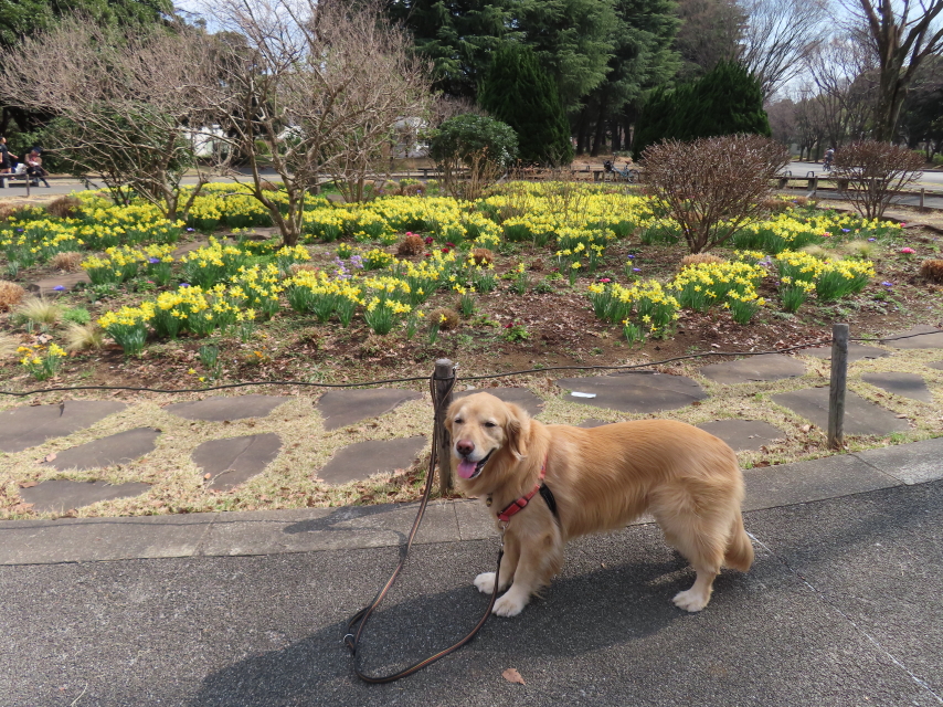 ファイル 8505-5.jpg