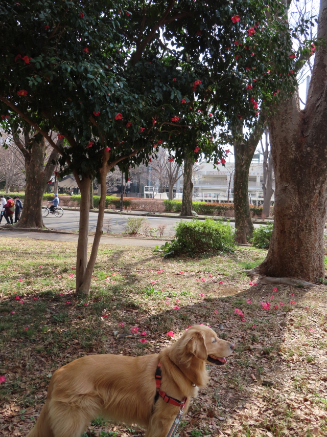 ファイル 8506-4.jpg