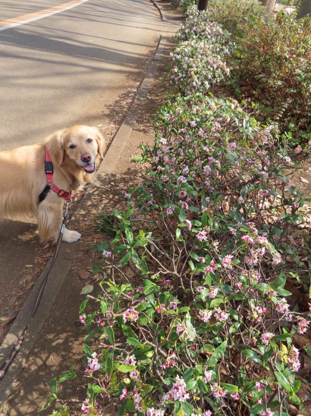 ファイル 8507-4.jpg