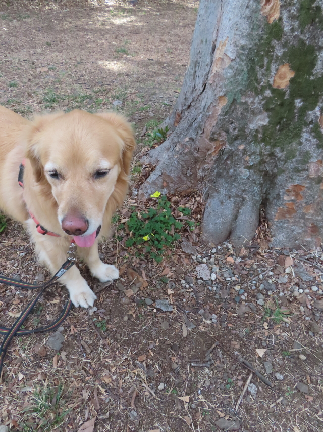 ファイル 8508-5.jpg