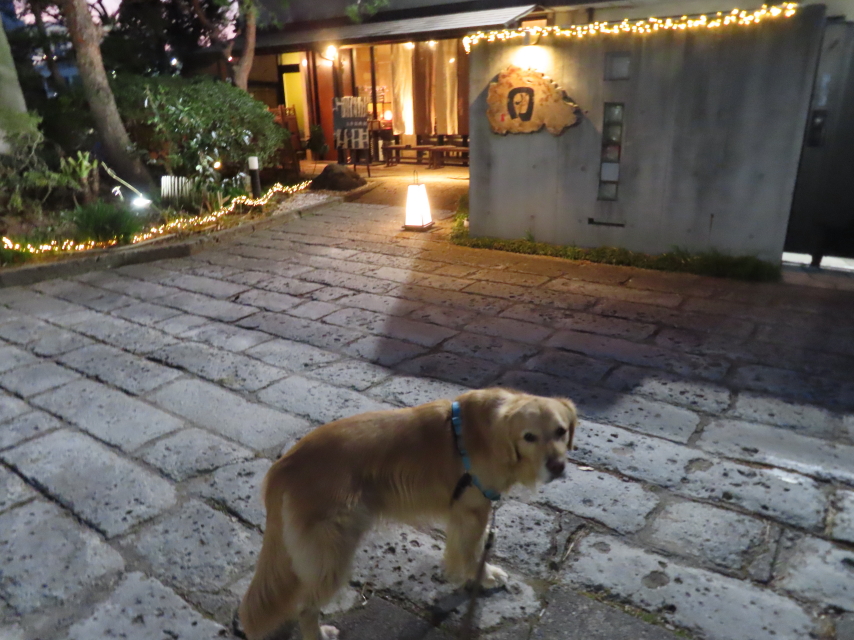 ファイル 8509-1.jpg