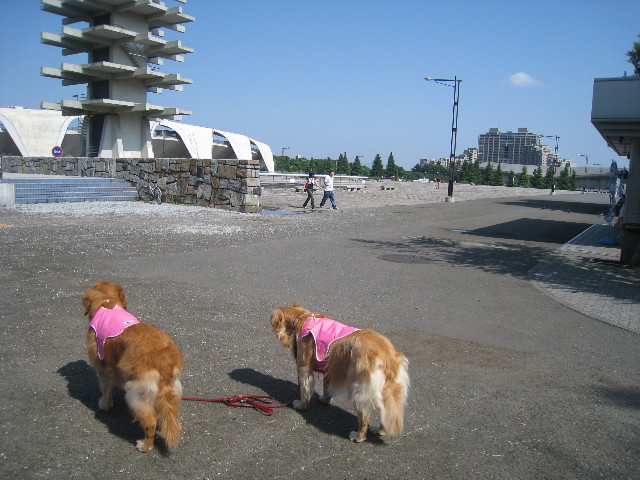 ファイル 851-1.jpg