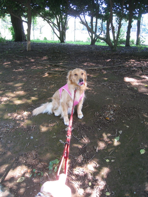 ファイル 851-2.jpg