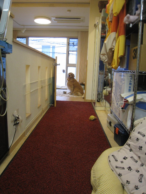 ファイル 851-4.jpg