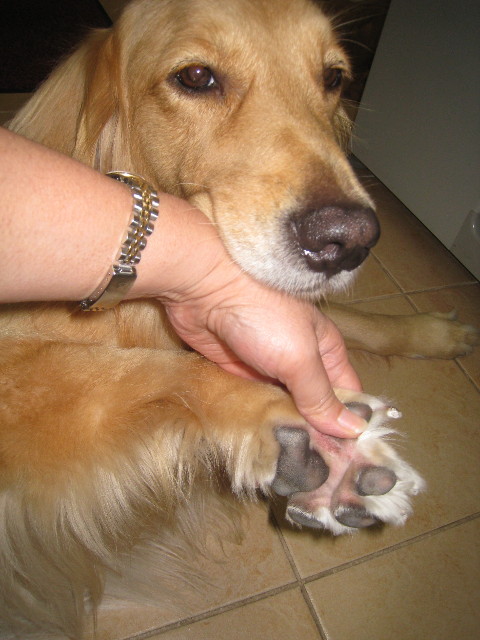 ファイル 851-5.jpg