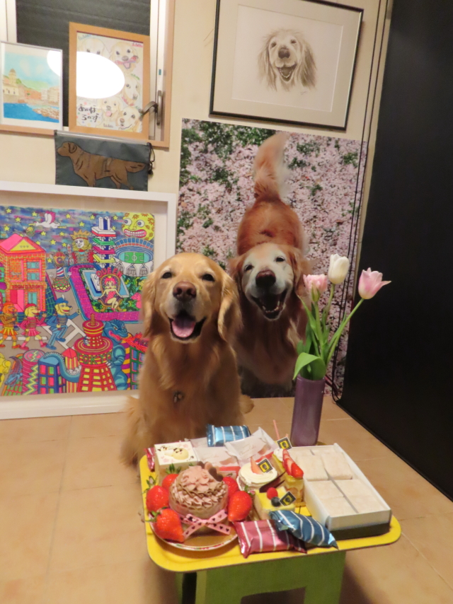 ファイル 8510-1.jpg