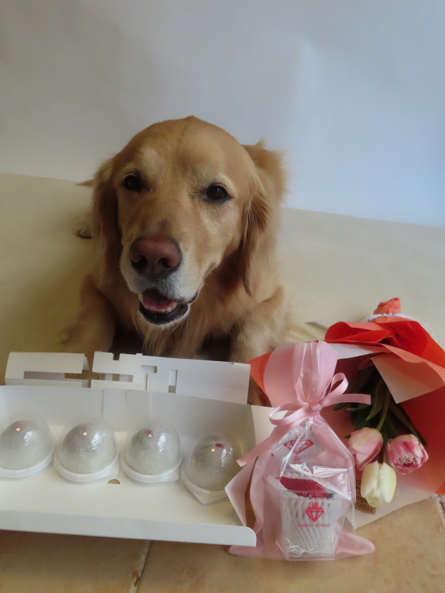 ファイル 8510-3.jpg