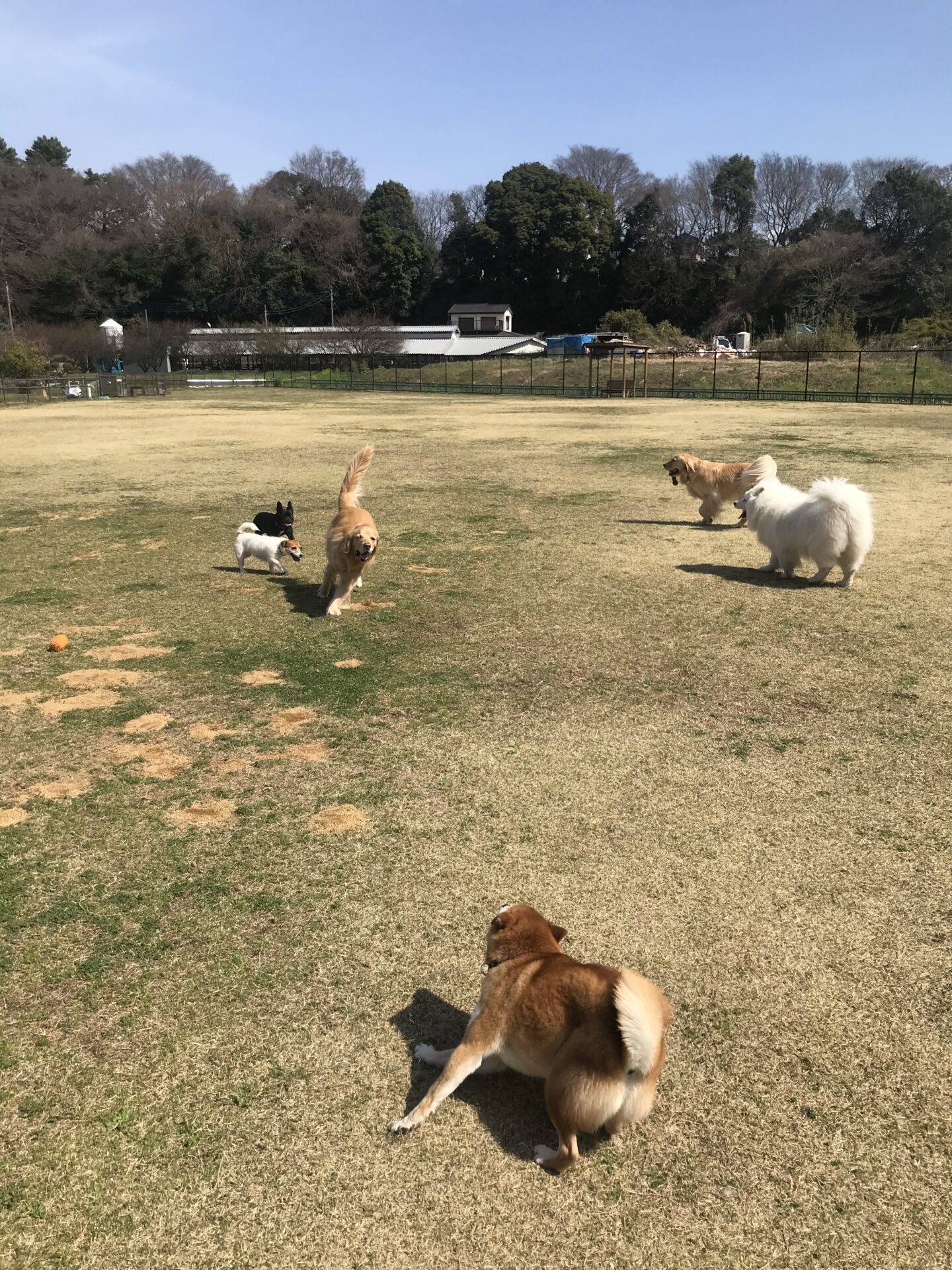 ファイル 8511-3.jpeg