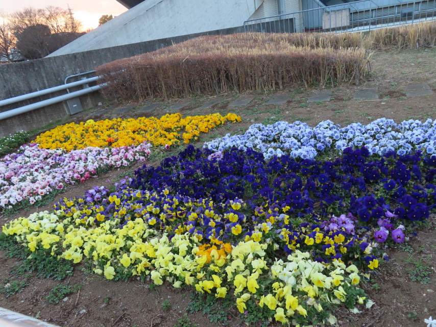 ファイル 8512-2.jpg