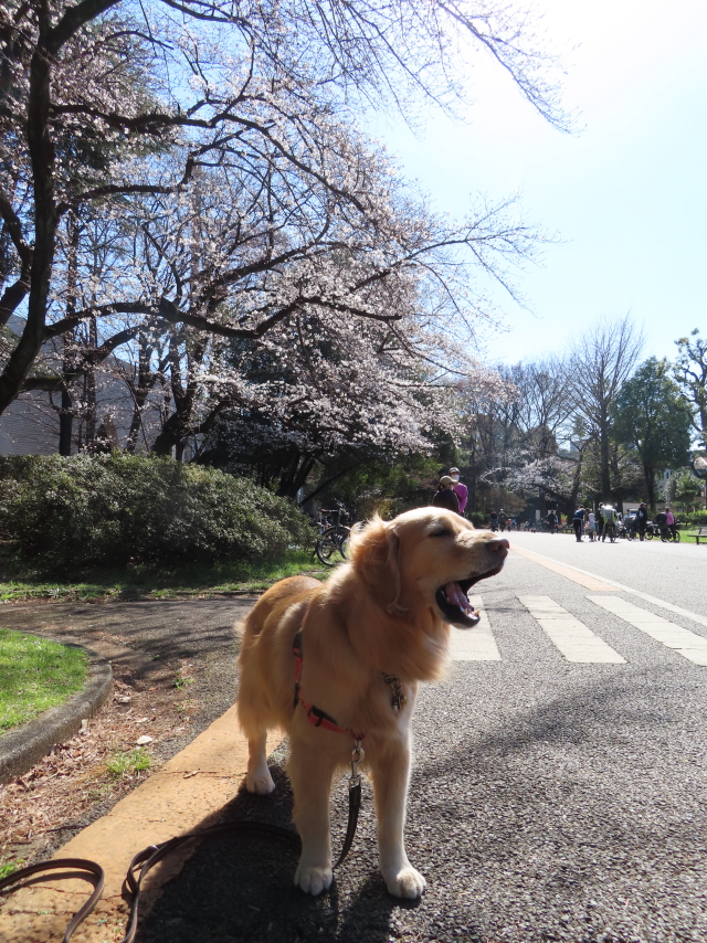 ファイル 8514-1.jpg