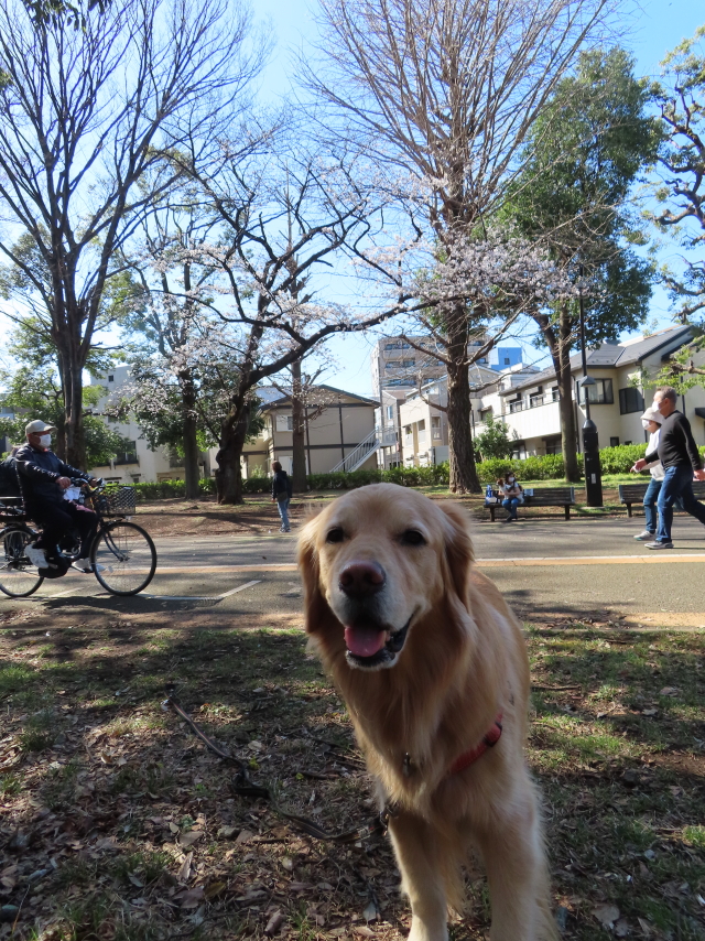 ファイル 8514-2.jpg