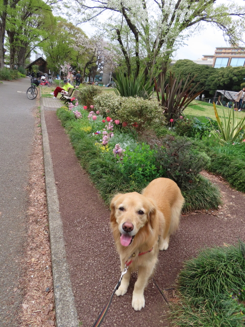 ファイル 8522-4.jpg