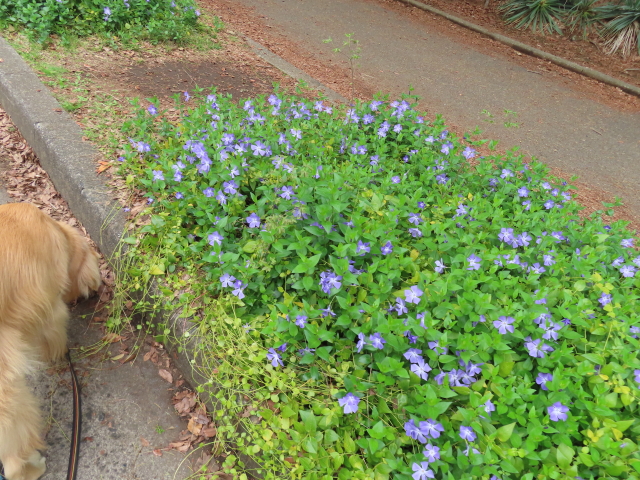 ファイル 8522-5.jpg