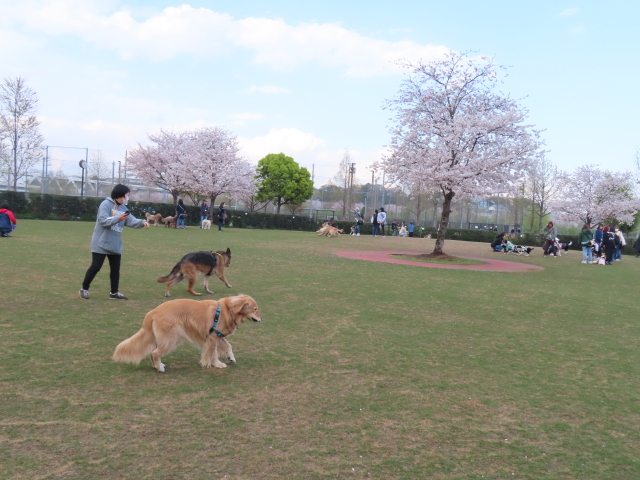 ファイル 8525-3.jpg