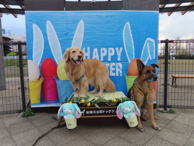 ファイル 8525-4.jpg