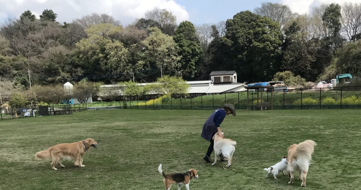 ファイル 8526-2.jpeg