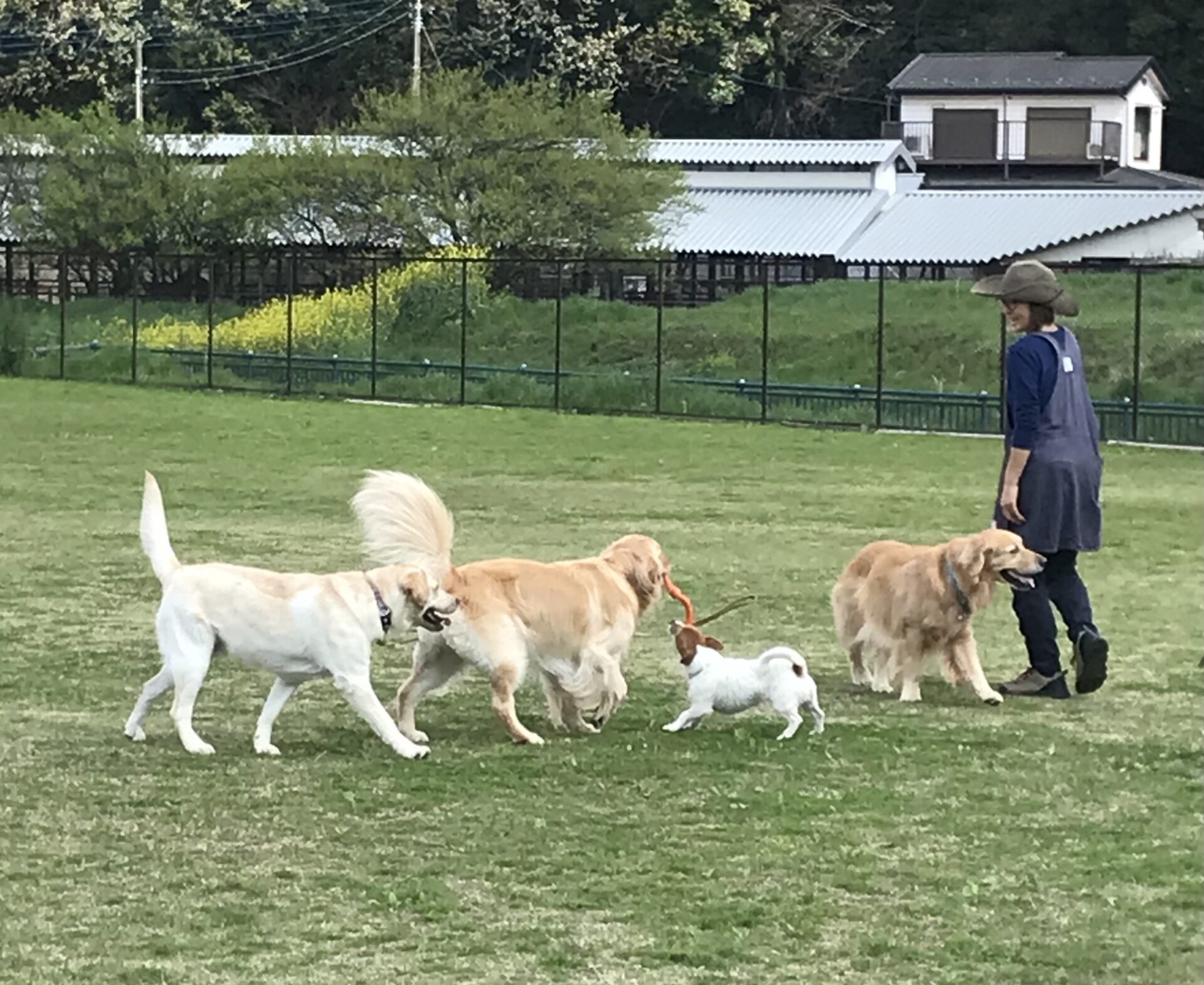 ファイル 8526-3.jpeg