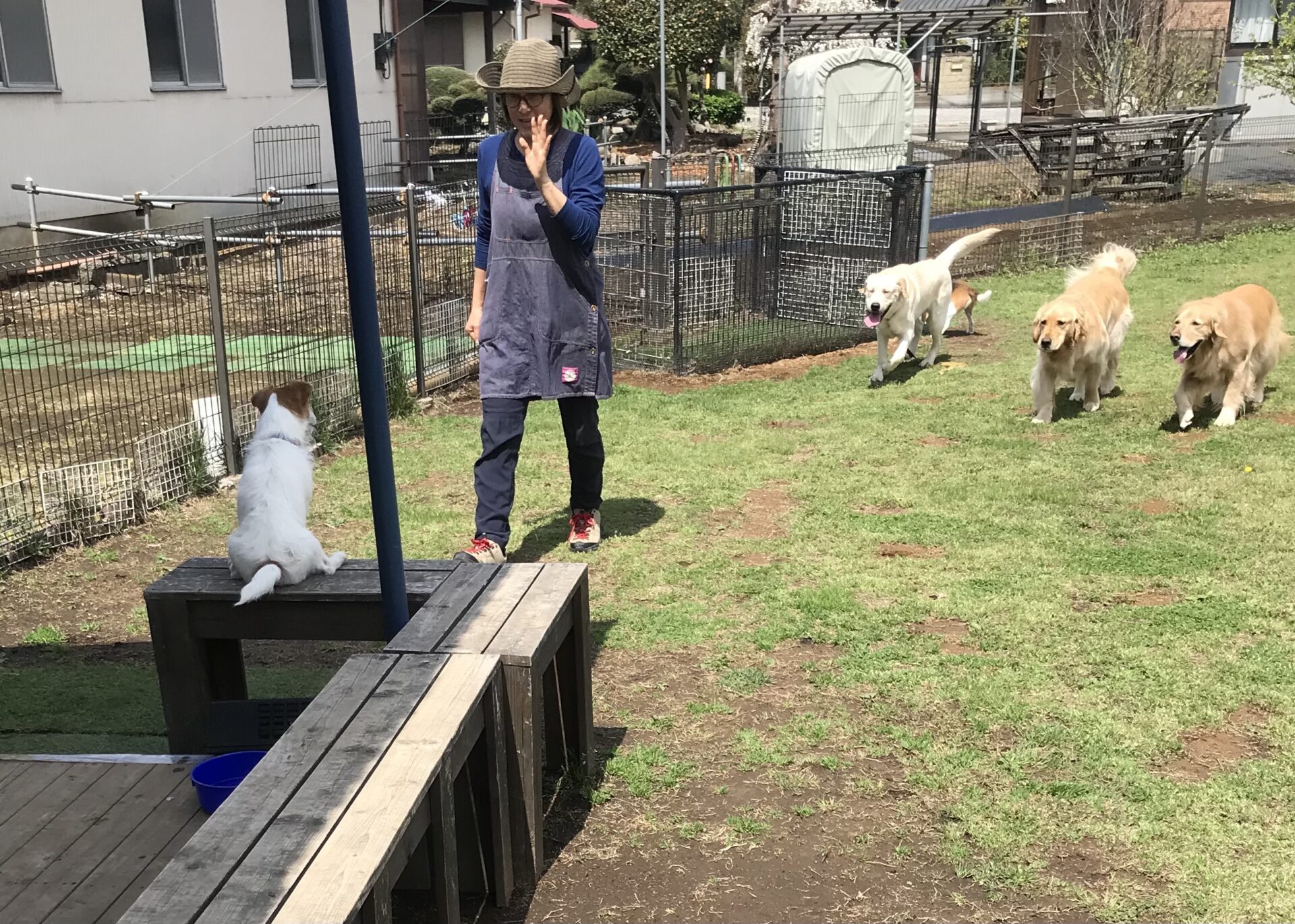 ファイル 8526-4.jpeg