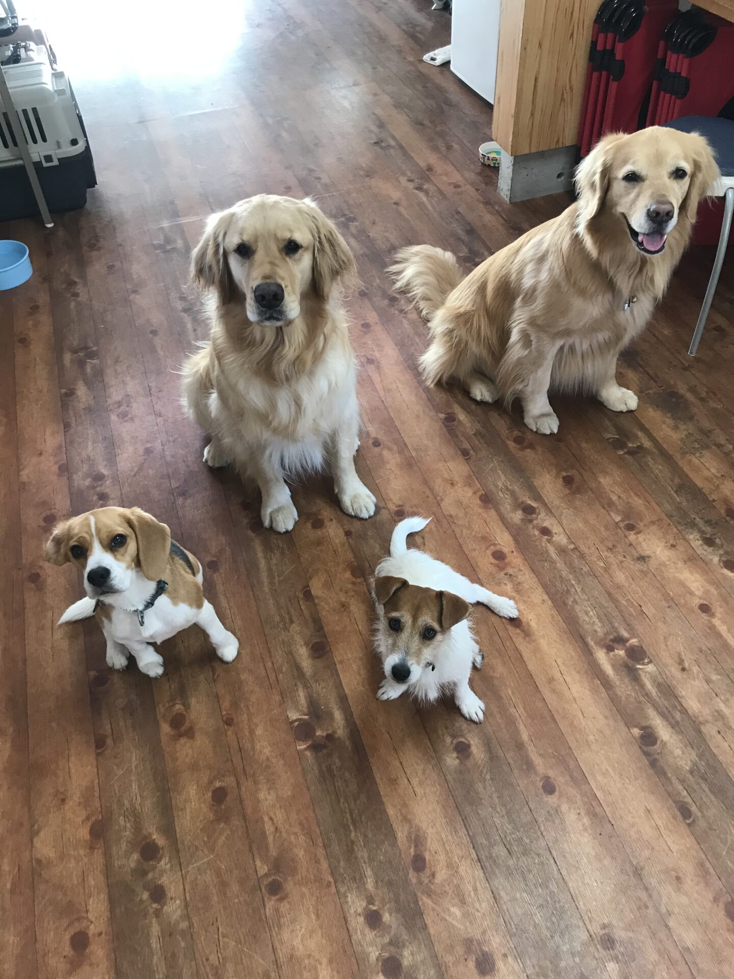 ファイル 8526-5.jpeg