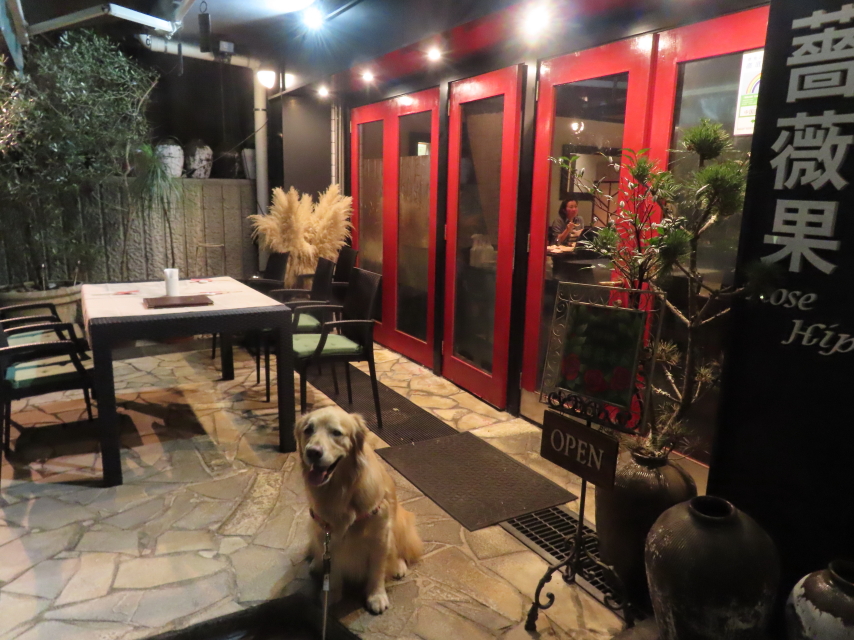 ファイル 8527-1.jpg