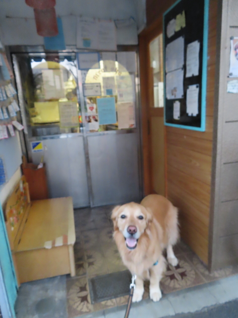 ファイル 8528-2.jpg