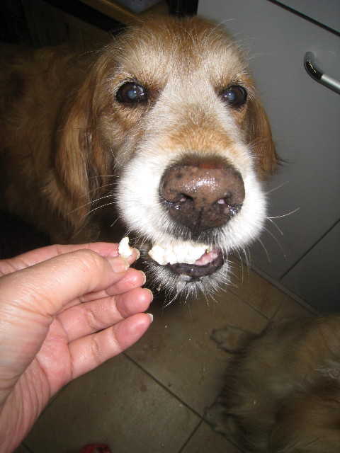 ファイル 853-2.jpg