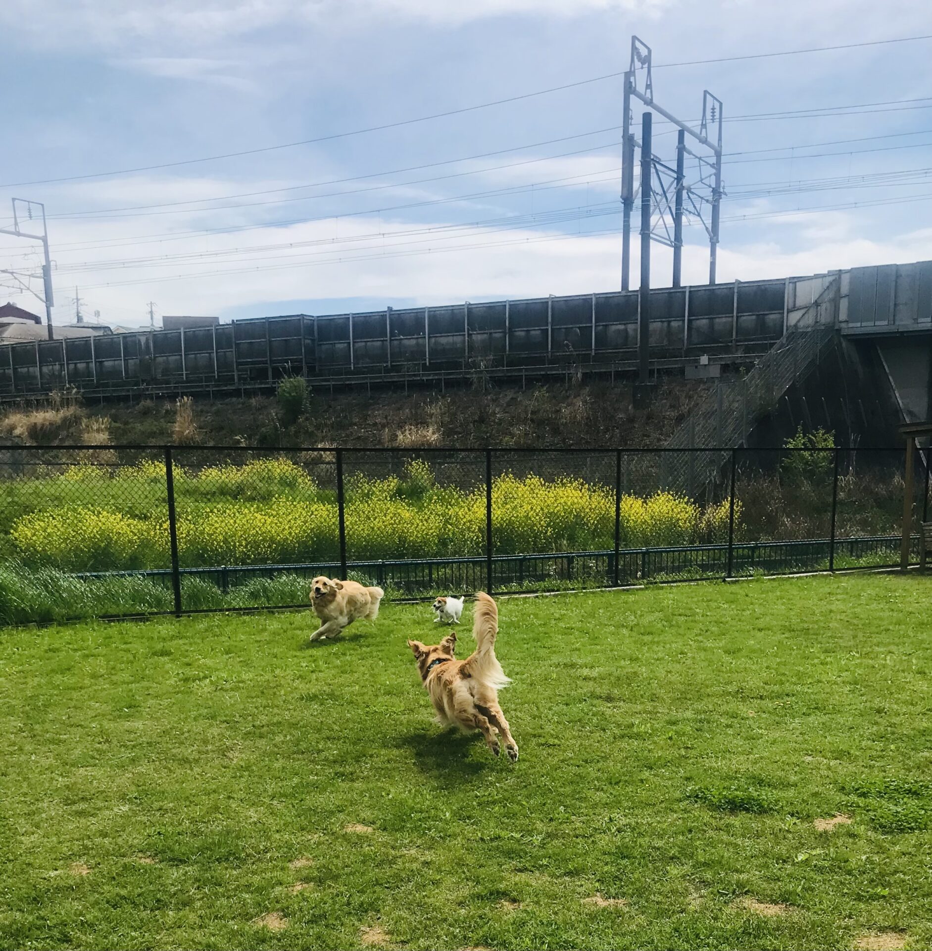 ファイル 8530-3.jpeg