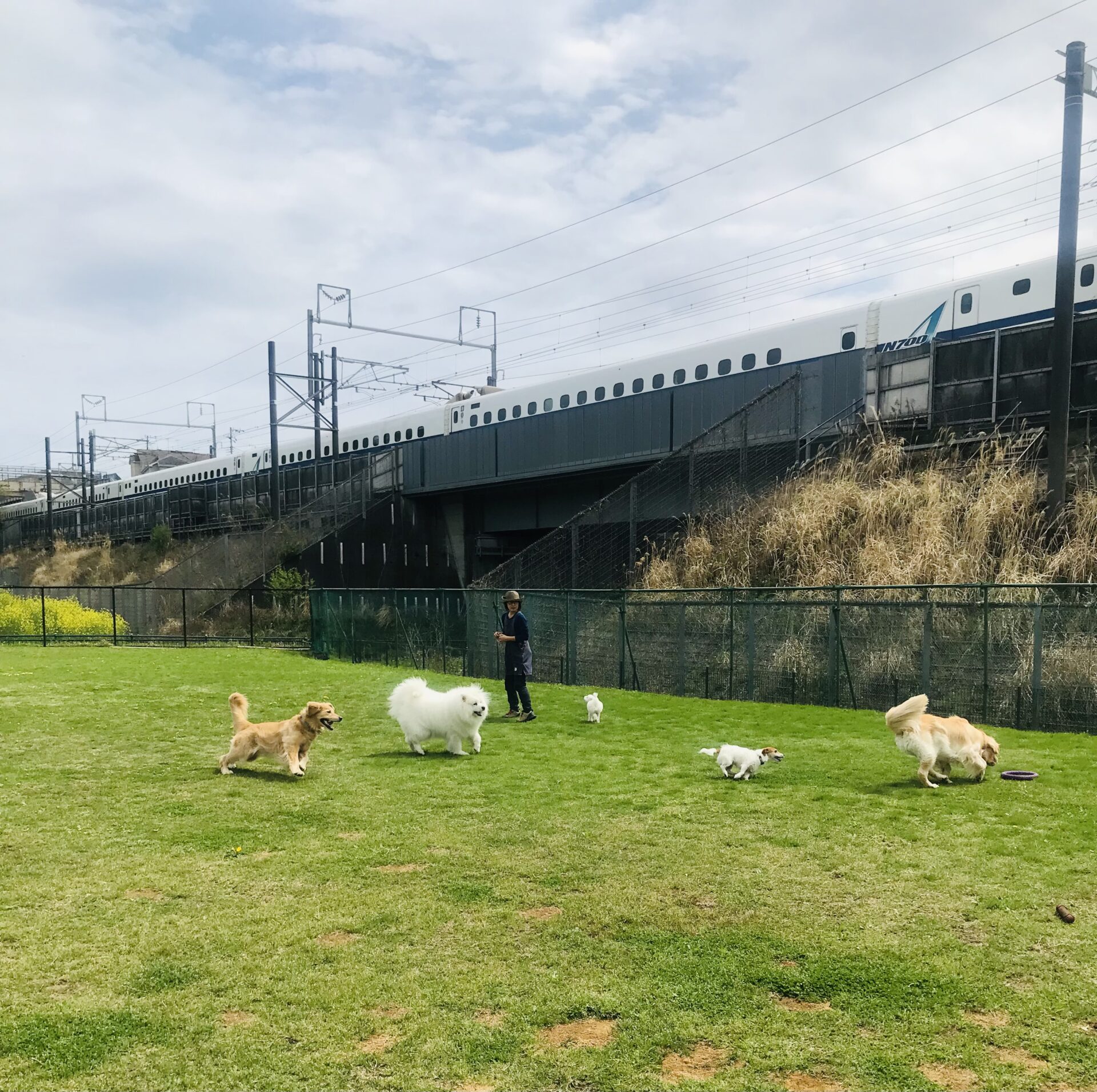 ファイル 8530-4.jpeg