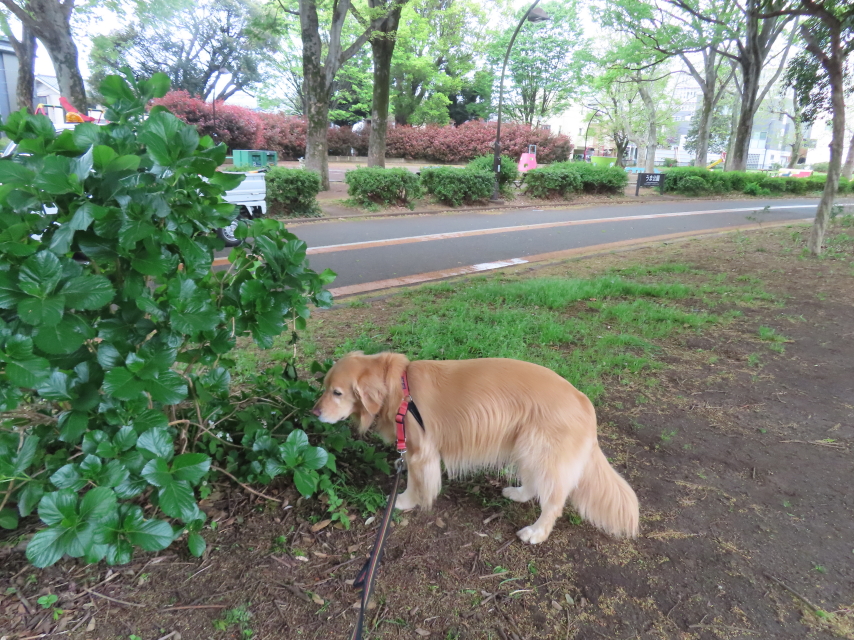 ファイル 8531-2.jpg