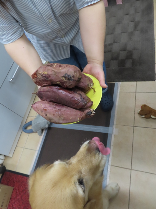 ファイル 8531-3.jpg