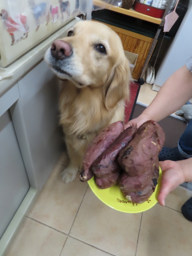 ファイル 8531-4.jpg