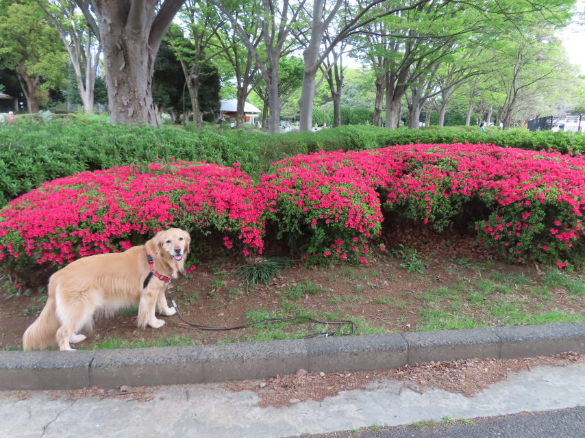 ファイル 8532-1.jpg