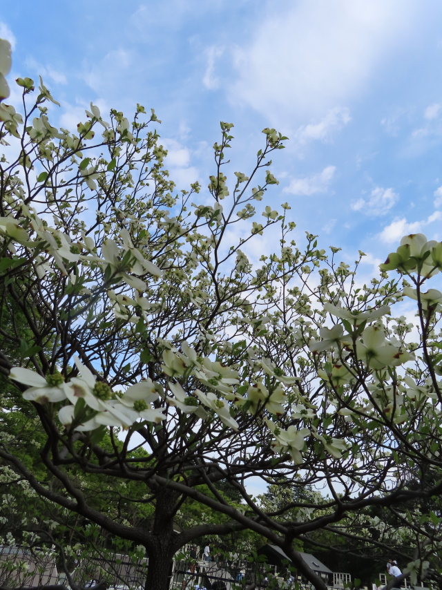 ファイル 8532-2.jpg