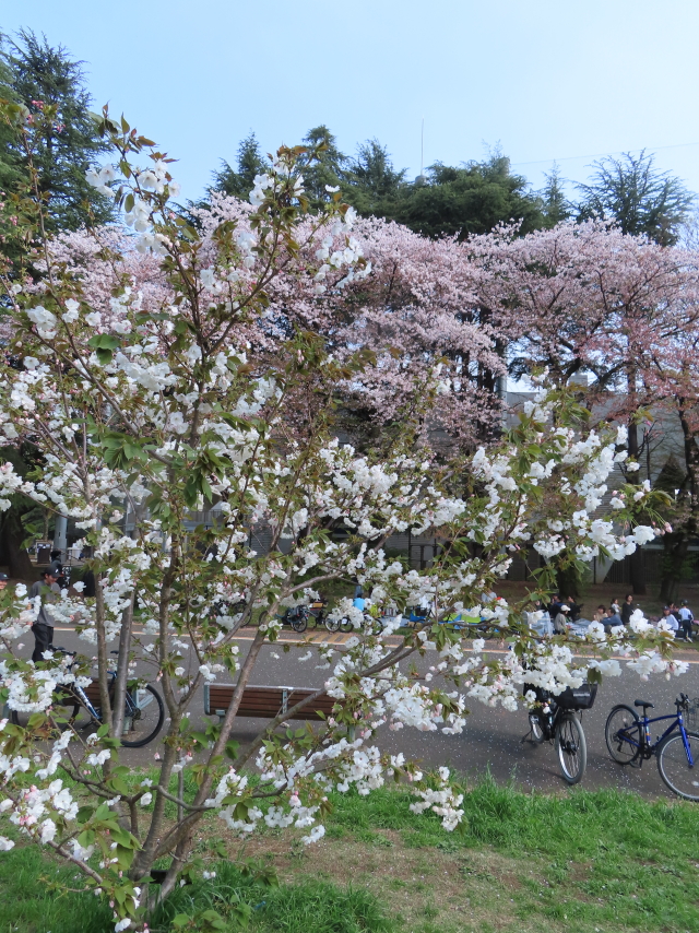 ファイル 8533-4.jpg