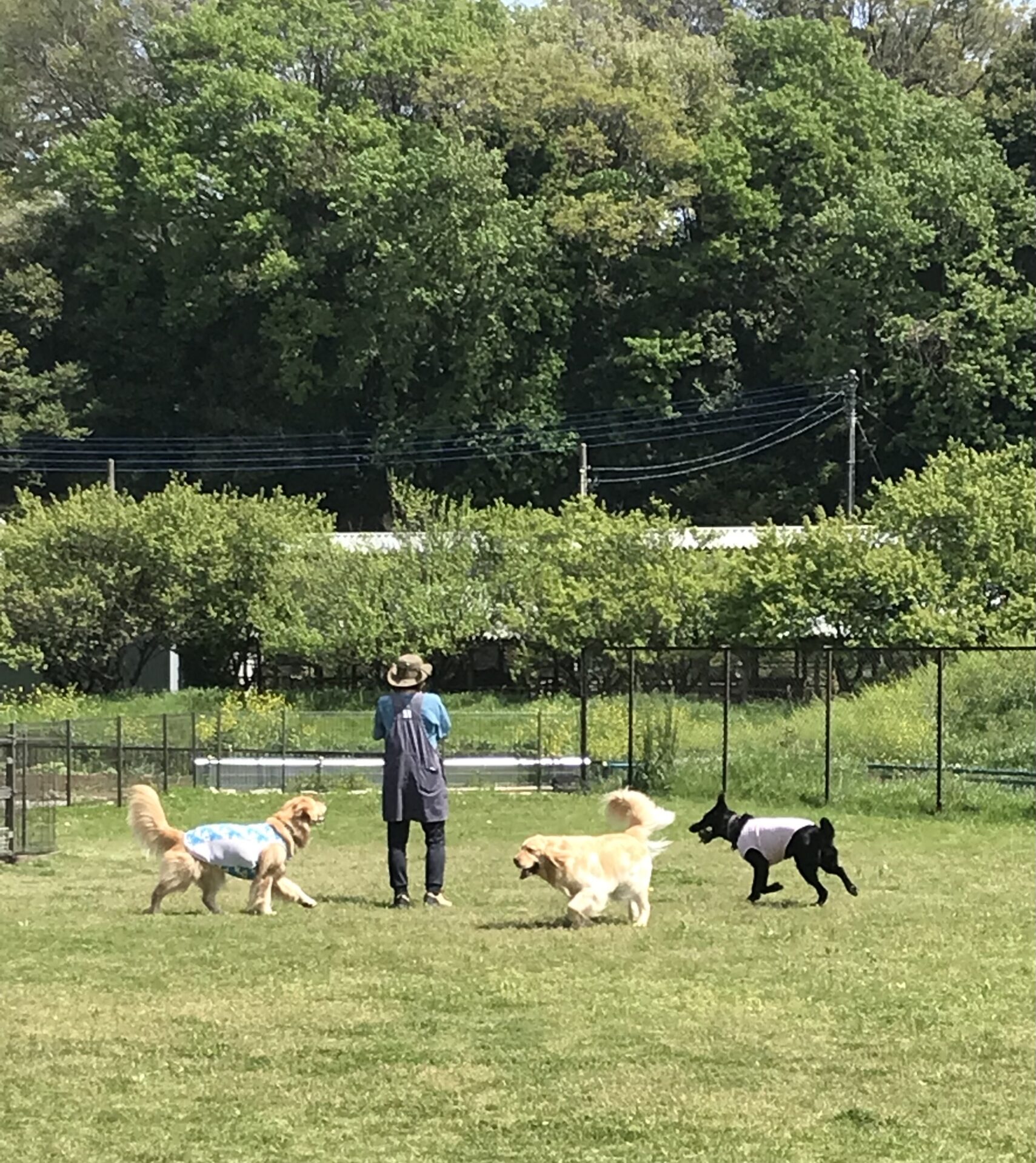 ファイル 8534-2.jpeg