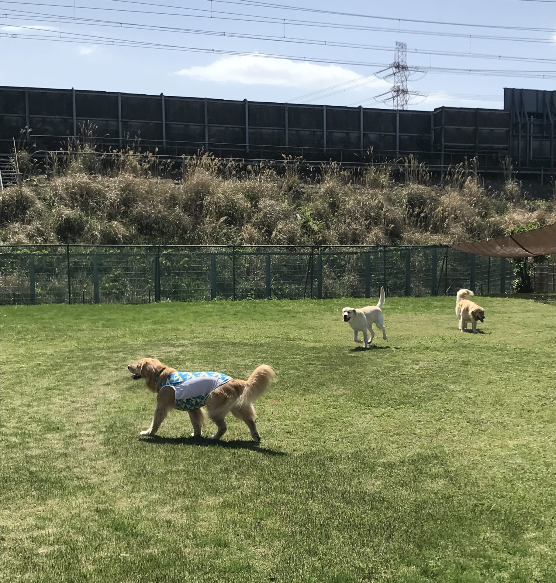 ファイル 8534-3.jpeg