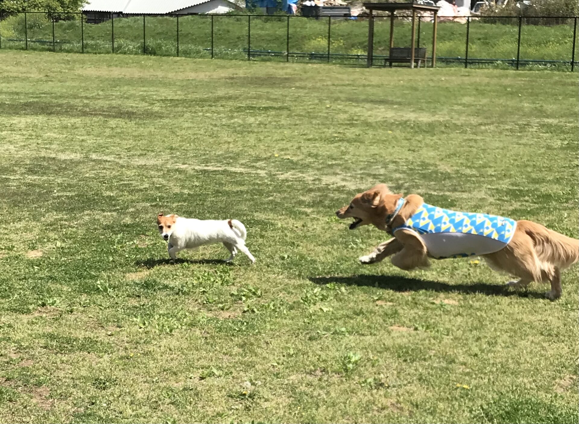 ファイル 8534-4.jpeg