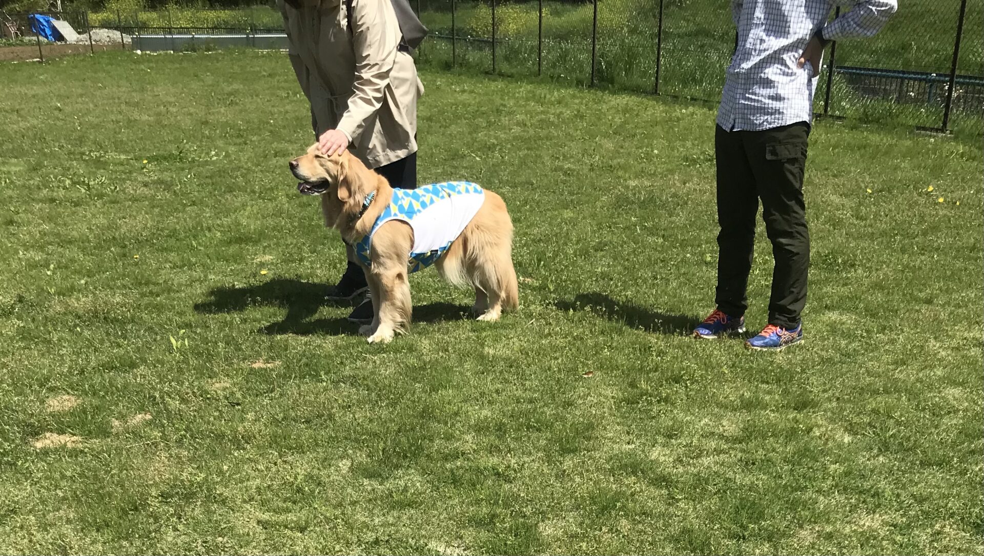 ファイル 8534-5.jpeg