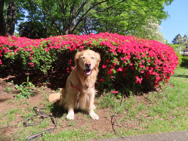 ファイル 8536-2.jpg