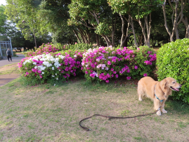 ファイル 8536-4.jpg