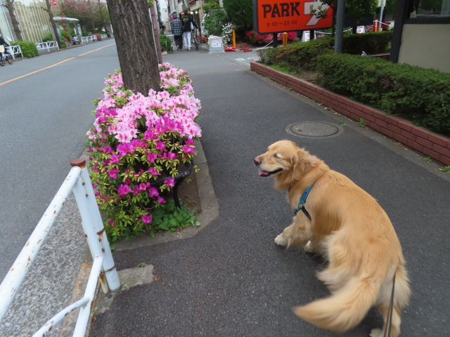 ファイル 8536-5.jpg